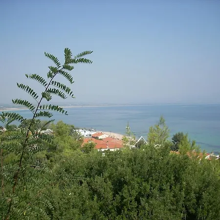 Alexandros Nea Poteidaia